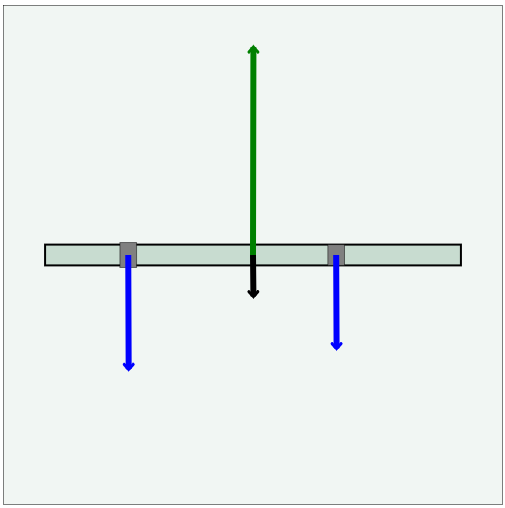 Screenshot of static equilibrium simulation